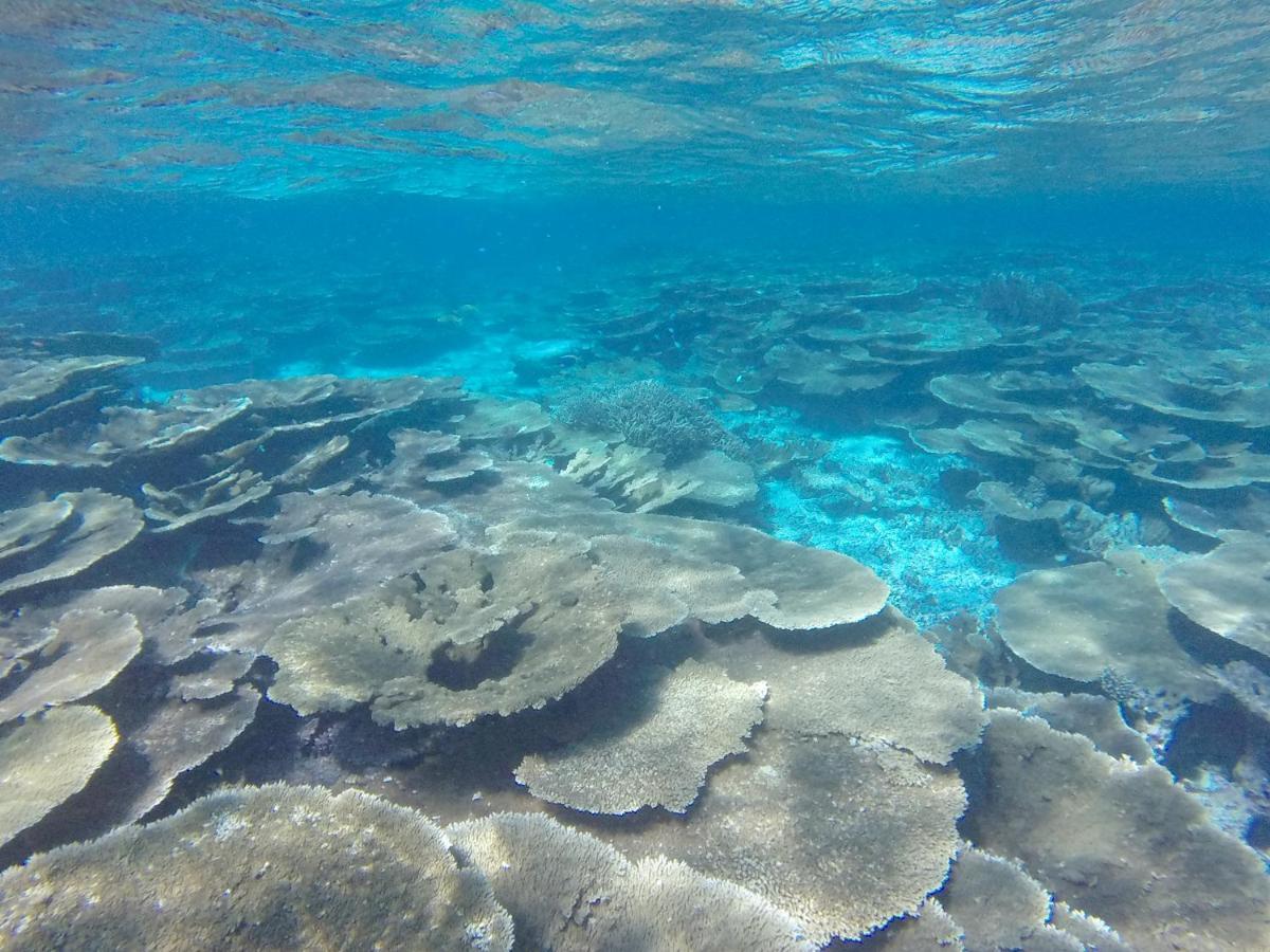 Ukulhas Beach Inn Buitenkant foto